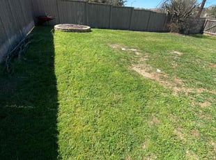 Bush Trimming by Lacy Dixon for Michael C. in San Antonio, TX