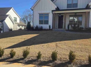 Latoya C.'s Lawn Care service result
