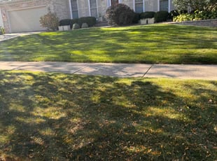 George H.'s Lawn Maintenance service result