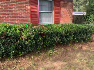Bush Trimming by Bradley Garner for Brian U. in Newport News, VA