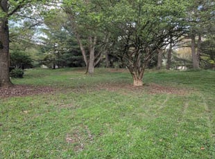 Leaf Removal by Phil Latham for Shanann S. in Cincinnati, OH