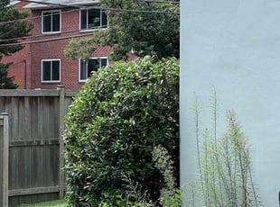 Bush Trimming by Carlos Alba for Ann A. in Arlington, VA
