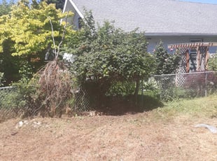 Bush Trimming by Nick Yerxa (DELETED ACCOUNT) for Gillian B. in Spokane, WA