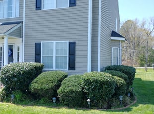 Bush Trimming by Kevin Wilcox for Shameka M. in Richmond, VA