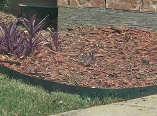 Adam M.'s Flower Bed Weeding service result