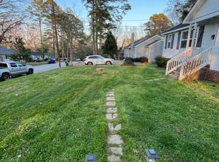 Cathy G.'s Lawn Mowing service result