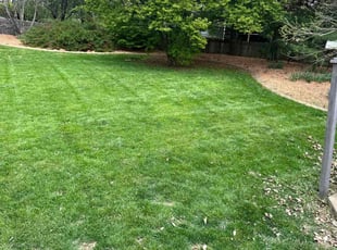 Jim S.'s Yard Cutting service result