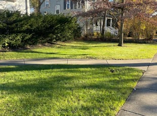 Leaf Removal by Cornelius Eubanks for Karen K. in La Grange, IL