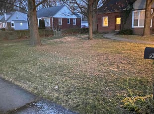Leaf Removal by Myles Sylvester for Jim B. in Indianapolis, IN
