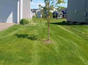 Christi W.'s Lawn Mowing service result
