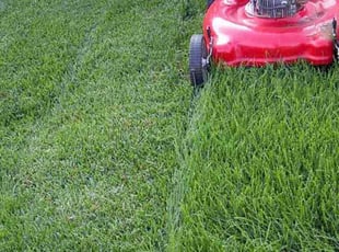 Cleanups by Jaylon Williams for Kevin C. in West Bloomfield Township, MI