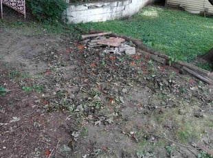 Cleanups by Gregg Hickerson for Scott M. in Minneapolis, MN