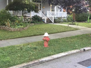 Amanda B.'s Lawn Care service result