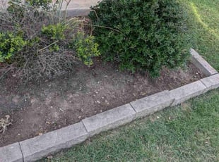 Weeding by Valery Wahl for Patricia W. in San Antonio, TX