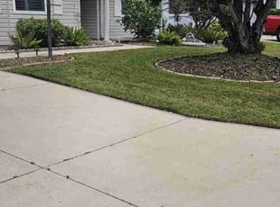 Adraine K.'s Yard Cutting service result