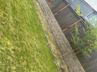 Weeding by Tyce Blankenship for Ravneel G. in Wilsonville, OR