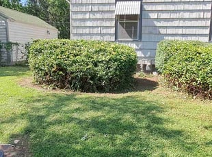 Bush Trimming by William Beacham for David H. in Wichita, KS