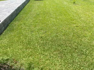 Marti M.'s Lawn Mowing service result