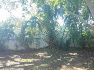 Bush Trimming by Stephen Peffly for Edwin P. in Seminole, FL