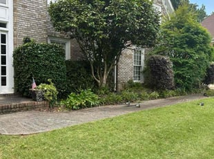 Daron T.'s Bush Trimming service result