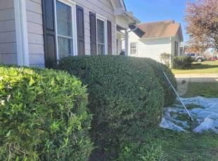 Bush Trimming by Stacy Sessoms for Lakisha L. in Knightdale, NC