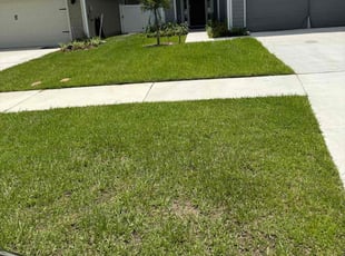 James T.'s Lawn Care service result