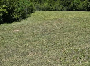 Cleanups by Leonardo Castro for Porscha R. in Round Rock, TX