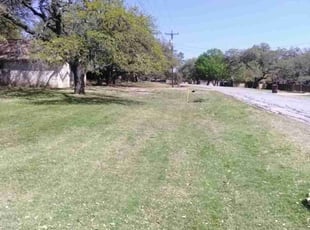 Leaf Removal by Ricardo Roldan Altamirano for Stacey M. in Buda, TX