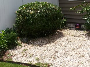 Weeding by Cassandra Blackson for Renda B. in Charlotte, NC