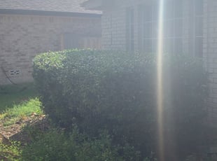 Bush Trimming by Brian Sengele for Nancy K. in San Antonio, TX