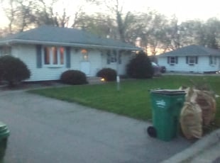 Leaf Removal by Christina Wallum for Dominique C. in Minneapolis, MN