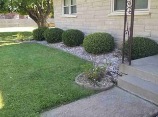 Weeding by Jaden Benn for Sharon B. in Louisville, KY