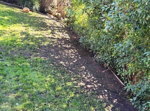 Leaf Removal by Juan Rodriguez for Jason H. in Cameron Park, CA