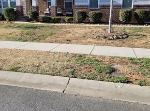 Cleanups by Christina duke for Celeste S. in Indian Trail, NC
