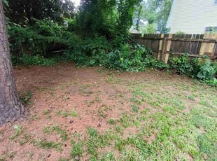 Angel T.'s Bush Trimming service result