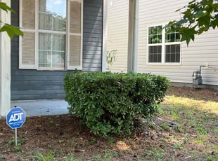 Bush Trimming by Aaron Bowden for Willando C. in Decatur, GA