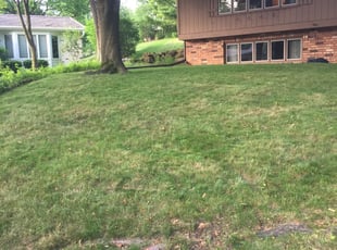 Cleanups by Carl Frank for Katrina D. in Madison, WI