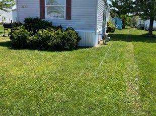 Bush Trimming by Brittany Lewis for Christopher N. in Holland, MI