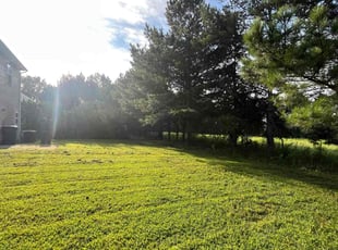 Karin M.'s Lawn Care service result