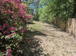 Leaf Removal by Jacob Wilson for Armina F. in Charleston, SC