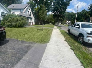 Lael H.'s Lawn Mowing Service service result