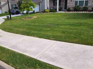 Barbara R.'s Lawn Mowing service result