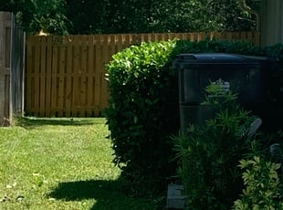 Bush Trimming by Willie Murphy for Ephraim H. in Tampa, FL