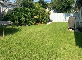 Sonya G.'s Lawn Mowing Service service result