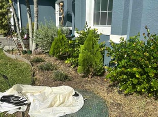 Weeding by Kuisman Mazariegos for Alyssa G. in Port St. Lucie, FL