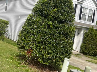 Bush Trimming by Shelita Turner for Mark B. in Concord, NC