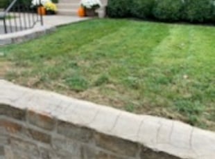 Leaf Removal by Chris Steinhour for katie l. in Columbus, OH
