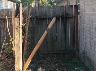 Cleanups by Roberto Pena for Daniel D. in Spring, TX