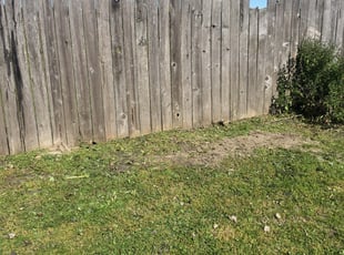 Landscaping by Allen Strode for Cynthia C. in Houston, TX