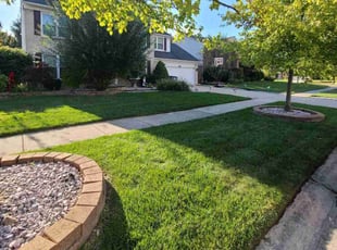 Larry M.'s Lawn Mowing service result